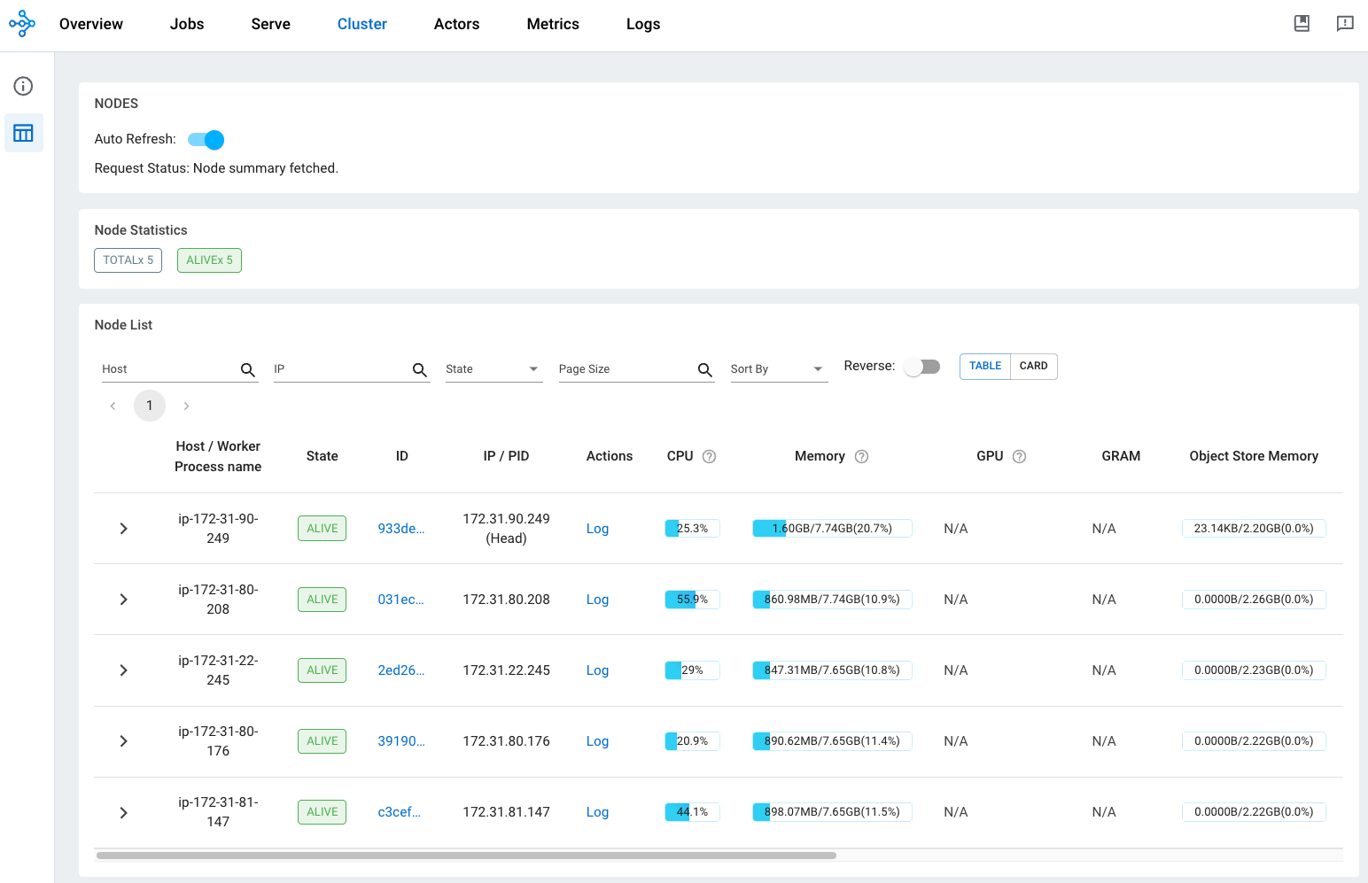 Ray Dashboard Resource Usage